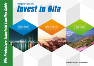 invest in oita