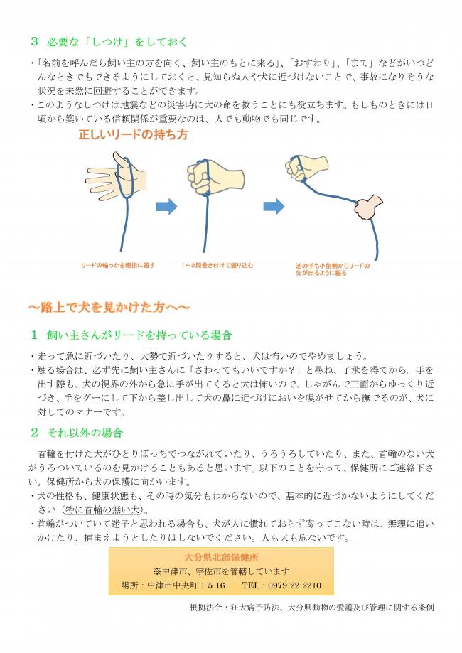 犬を見かけた方へ