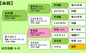 まつふぶきのけっとう