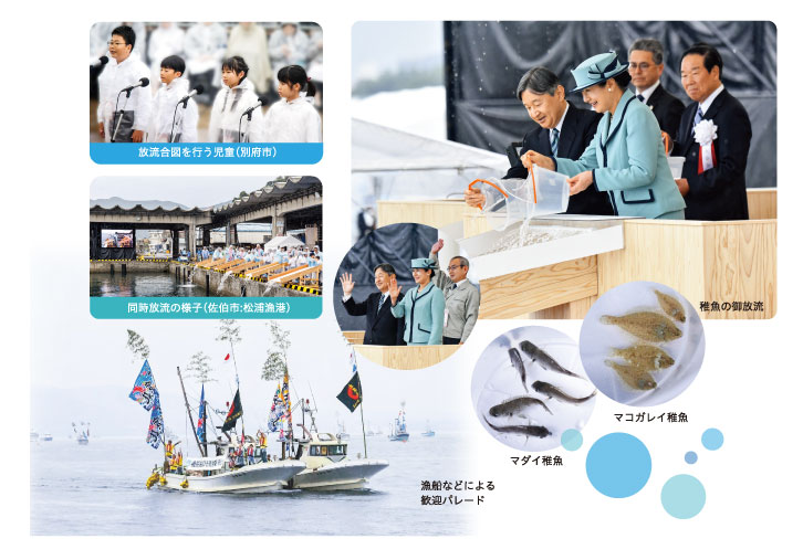 海上歓迎