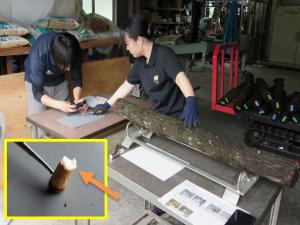 活着の様子