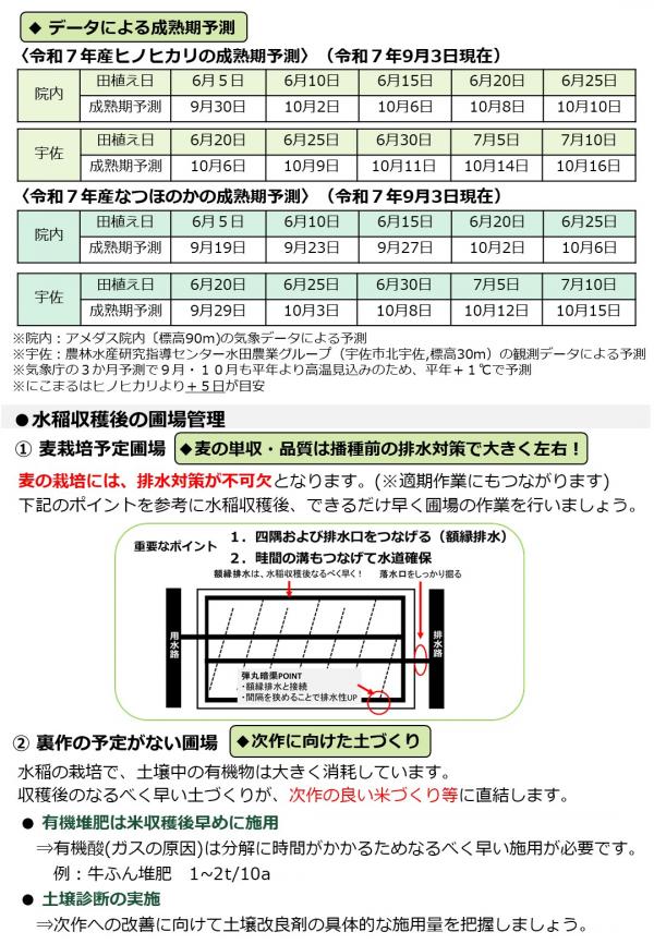 10月号_2