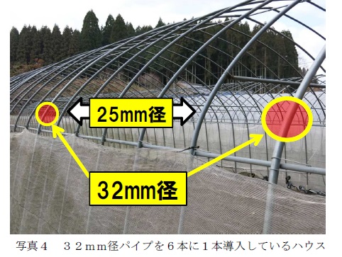 ３２mm径パイプを６本に１本導入しているハウス