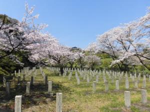 桜ヶ丘聖地写真2