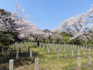 桜ヶ丘聖地写真２