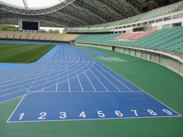 大分スポーツ公園昭和電工ドーム大分 1種陸上競技場
