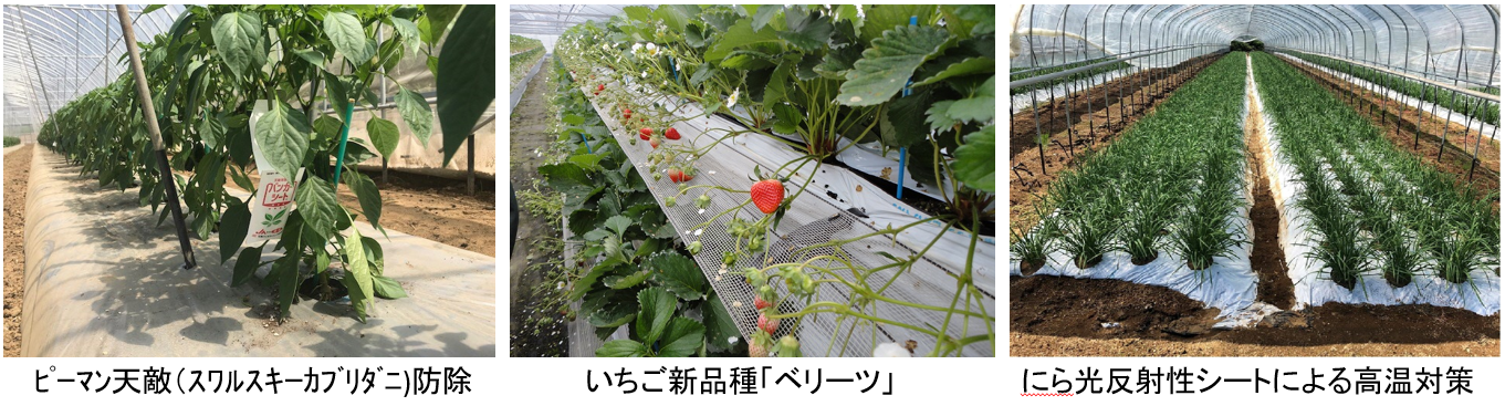 園芸班1