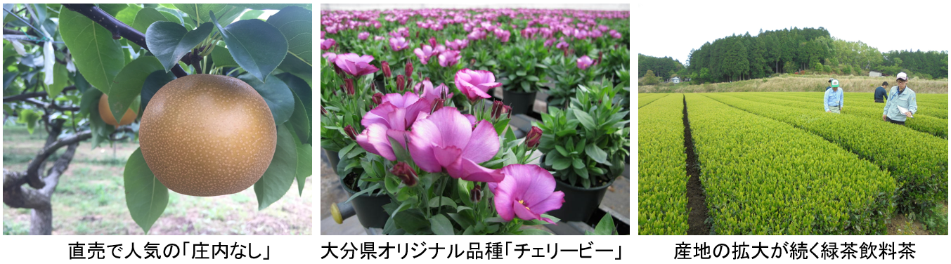 園芸班2