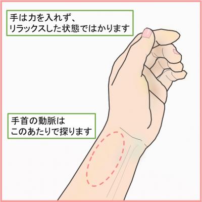 手首 脈拍測定 1