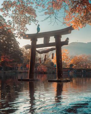 留学生賞 International Student Prize3