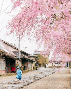 留学生賞 International Student Prize4