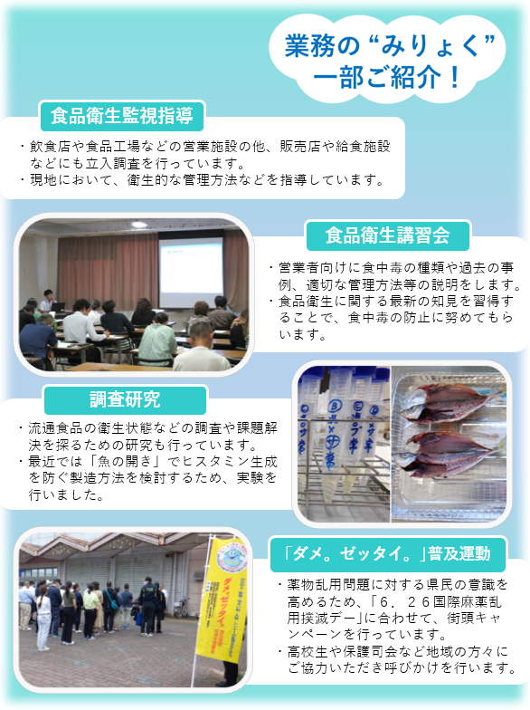 食品衛生・薬事班